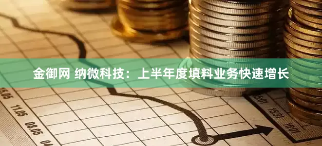 金御网 纳微科技：上半年度填料业务快速增长