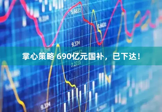 掌心策略 690亿元国补，已下达！