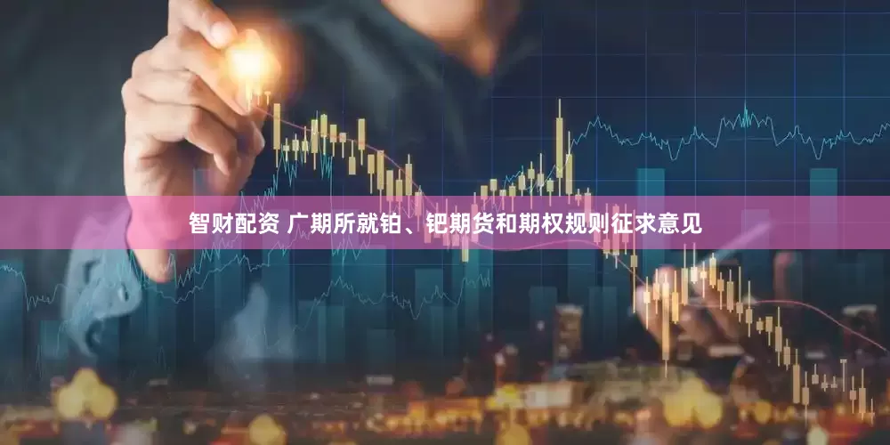 智财配资 广期所就铂、钯期货和期权规则征求意见