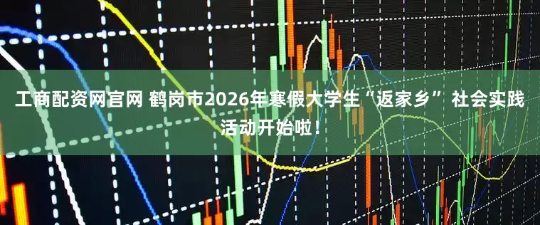 工商配资网官网 鹤岗市2026年寒假大学生“返家乡” 社会实践活动开始啦！