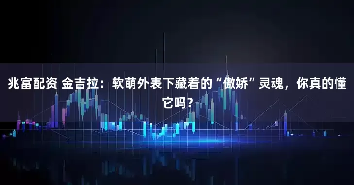 兆富配资 金吉拉：软萌外表下藏着的“傲娇”灵魂，你真的懂它吗？