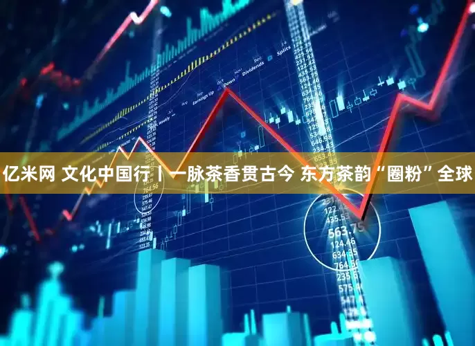 亿米网 文化中国行丨一脉茶香贯古今 东方茶韵“圈粉”全球