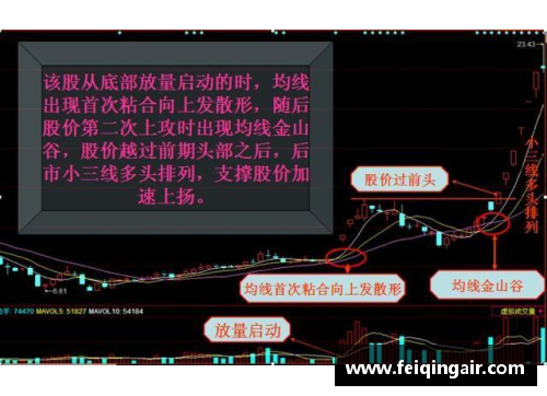 yh86银河国际NBA直播破解方法大揭秘：实用技巧和最新信息