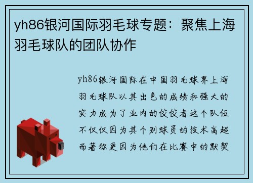 yh86银河国际羽毛球专题：聚焦上海羽毛球队的团队协作